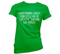HotScamp Good Morning World! Ray of Sarcastic Sunshine Women's T-Shirt - Green 16