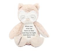 HotScamp Personalised Memorial Bear In Loving Memory When you Miss me - Cuddly Toy Soft Toy Comforter Grieving Special keepsake from a loved one - Brown Owl