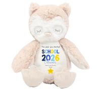 HotScamp Starting School Gift Cuddly Toy - Personalised 1st Day of Reception Starter 2026 Blue Star Customised Teddy Kids Plush Named Primary September First Day of Preschool Soft Plushie - Brown Owl