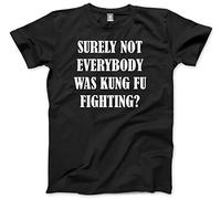 HotScamp Surely Not Everyone was Kung Fu Fighting? Men's Unisex T-Shirt - Black XX-Large