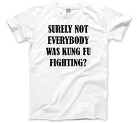 HotScamp Surely Not Everyone was Kung Fu Fighting? Men's Unisex T-Shirt - White Medium