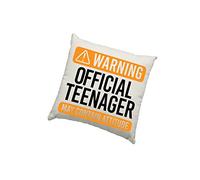 HotScamp Teenage Bedroom Cushion Cover -Warning Official Teenager Scatter Cushion Home Accessory Pillow Bedroom Teen 13 Years Old 13th Birthday - Natural Canvas 40x40cm