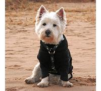 Hotterdog Jumper Extra Small BLACK