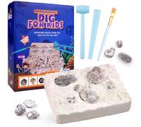 HOTUT Gemstone Dig Kit Age 3+, 9 PCS Gemstones Excavation Kits For Kids, Gem Stones Digging Kit Set, Geology Educational Gifts, Educational Science Kits for Boys and Girls