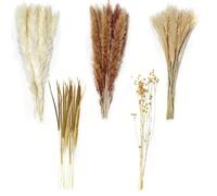 Houbobo 100Pcs Pampas Grass Boho Home Decor, Natural Phragmites Dried Flowers Bouquet, DIY Boho Plants for Wedding Floral Arrangements Home Decorations