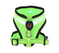 HOUDERCO 1set Led Dog Vest Summer Cooling Vest for Dog Cooling Usb Charging Pet Glow for Assistance