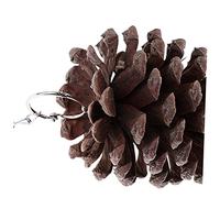 HOUDERCO 2pcs Parrot Bird Hanging Toys Large Pine Cones Chewing Toy Bird Cage Accessories for Cockatiel Parakeet Parrot