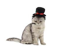 HOUDERCO Adjustable Black Pet Hat for Cats and Dogs Made of Polyester, Stylish and Easy to Put and Take, for Christmas Holiday or Family Photo Shoot Costume Supplies