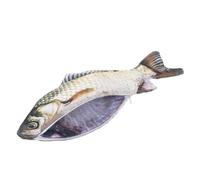 HOUDERCO Creative Fish Shape Pencil Case Stationery Organizer for Students, Realistic Fake Carp Pen Pouch for School Supplies, Unique Fish Design Pencil Storage Bag for Writing Tools