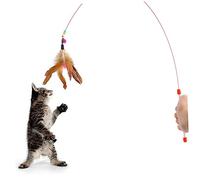 HOUDERCO Kitten Cat Pet Teaser Bell Beads Random Interactive Wire Hunter for Indoor Play Engaging for Cats and Kittens Promotes Healthy Exercise and Hunting Instincts