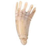 HOUDERCO Ox Horn Scalp Massager Comb for Hair Washing, Finely Crafted and Safe Material Shampoo Brush for Women, for Daily Use to Stimulate Scalp and Promote Healthy Hair
