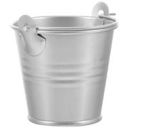 HOUDERCO Portable Iron Flower Bucket Multi-functional Succulent Planter with Retro Silver Finish for Garden and Office Use