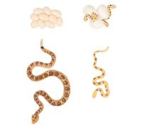 HOUDERCO Simulation Rattlesnake Life Cycle Model for Realistic PVC Animal Educational Supplies Early Cognitive Learning for Nature Exploration and Biological Understanding