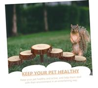 HOUDERCO Small Pet Playground Hamster Ladder Climbing Platform for Mice Guinea Pigs Engaging Exercise Teeth Grinding for Active Small Animals
