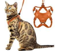 Houdini™ Escape Proof Cat Harness and Leash Set by OutdoorBengal - Orange, Large Cat Harness for Walking Big Cats