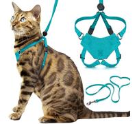Houdini™ Escape Proof Cat Harness and Leash Set by OutdoorBengal - Turquoise, Medium Cat Harness for Walking