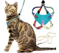 Houdini™ Escape Proof Kitten Harness and Leash Set by OutdoorBengal - Extra Small - Comfy, Adjustable and Lightweight - Houdini Cat Harness Escape Proof for Small Cats + Cat Leash 6ft (Multicolor, XS)