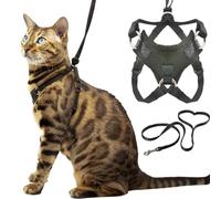 Houdini™ Large Cat Harness and Leash Set (Escape Resistant) by OutdoorBengal for Walking Big Cats (L)