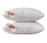 HOUMEL Hotel Quality Comfortable Bed Pillow Five-star Hotel Hotel Feather Velvet Comfortable Home High Rebound Soft Pillow Hypoallergenic Washable Washing Machine Pack Of 2（48x74cm） (Color : White)