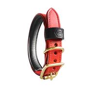 Houndworthy Monogram Luxury Padded Bridle Leather Dog Collar, Large, 37-46 cm, Oxblood Red