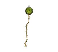 House for Jumping Spiders | Climbing Net Cage with Realistic Moss for Spiders, Landscape Shelter for Amphibians Reptiles Small Animals Feeding Geckos Lizards in the House