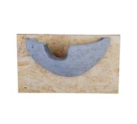 House Martin Nest Cup Single Fallen Fruits Wild Bird Nest
