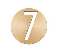 House Numbers Plaques, Door Numbers Soild Brass House Number Door Sign Wall Mounted 2.5 Inches High(Number 7)