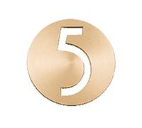 House Numbers Plaques, Door Numbers Soild Brass House Number Door Sign Wall Mounted 2.5 Inches High(Number 5)
