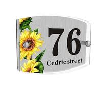 House Numbers Plaques Personalised Door Number Plaques for Wall Acrylic Gate Sign Door Plate with Any Street Number & Address Custom Modern Glass Effect Outside Decoration (Design2, Arc)