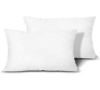 HOUSE OF THREADS Bed Pillows 2 Pack Hotel Quality Hollow Fiber Standard Pillows Luxury 2 Pack, Ultra Soft Anti Allergy Pillows Best for Side Sleepers