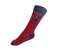 House Of Tweed Mens Luxury Premium Bamboo 100% Biodegrable super Soft Socks Scotland Clan Size 7-12 (UK, Numeric, 7, 12, Regular, Regular, Red Hoghland Cow 1)