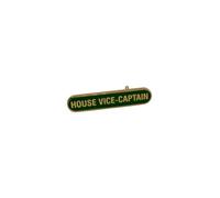 House Vice Captain School Bar Badge, Brass and Enamel, Green and Gold, Pack of 4 (Green)
