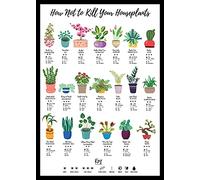 Houseplant Care Guide Poster - Wall Art Print for Plant Lovers | 20 Popular Indoor Plants with Watering, Light & Feeding Tips | A4 Unframed Print, 300gsm Recycled Card | Gift for Plant Mum, Gardener