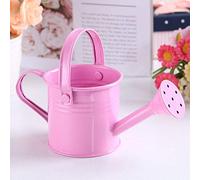 Houseplant Watering Can, Flower Watering Can, Metal Watering Can, Indoor Watering Can With Spray Head, Kids Watering Can Toys (Cherry Blossom Pink)