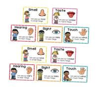 Housoutil 2 Sets Flash Cards Visual Stimulation Learning Posters for Early Childhood Education Boost Cognitive Sensory Development Designs for Preschoolers Kindergarten
