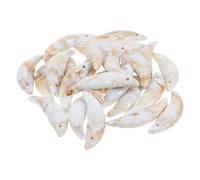 Housoutil 25Pcs Plastic Wolf Fang Tooth Necklace Pendants for Jewelry Making Lightweight and Easy to String Animal Pendants Halloween Accessories for DIY Projects and Ethnic Charm Creations