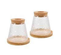 Housoutil 2pcs Hydroponic Plant Bottle Propagation Vase Wooden Lid Desktop Glass Planter for Indoor Plants Home Office Decor