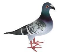 Housoutil Artificial Feathered Pigeon Foam Bird Decoration, Large Snowflake Grey Fake Dove Model for Garden and Wedding Ornament Random Style
