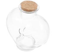 Housoutil DIY Corked Glass Luck Bottle for Holding Perfumes and Miniature Spell Jars