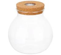 Housoutil Glass Terrarium Planter with Cork Lid round Hydroponic Plant Vase for Desktop Growing and Decoration 16Cm Mini Ecosystem Jar