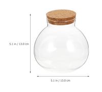 Housoutil Micro Landscape Glass Bottle 2Pcs Bubble Bowl Planter for Home Moss Crafts and DIY Ecological Jar
