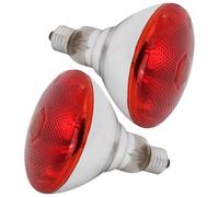 Houtokit Infrared Heat Lamp Bulb, 2 Pack 250W Chick Infrared Light Red Heat Bulb E27 Chicken Brooder Reptile Basking Heat Light Bulb for Poultry Chick Dog Cat Pig Lizard Tortoise