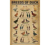 HOUVSSEN Tin Signs for Man Cave Breeds of Duck Poster Vintage Duck Art Duck Breeds Wall Art Farm House Decor Duck Breed Poster Duck Wall Art Vintage Poultry 8x12 Inch