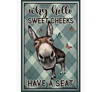 HOUVSSEN Tin Signs Vuntage Kitchen Why Hello Sweet Cheeks Donkey Vintage Poster Funny Donkey Art Bathroom Wall Decor Farmhouse Decor Donkey Lovers Gift 6x8 Inch