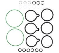 HouYeen High Pressure Fuel Pump O Ring Seal Repair Kit for Citr-oen C5 C8 Berlingo Corsa C Meriva B Ducato Panda Punto Partner Espace Kangoo Scenic