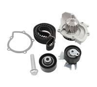HouYeen Timing Belt and Water Pump Kit for Cit-roen C4 C5 C8 Dispatch DS4 DS5 Fia-t For-d C S Max Focus Galaxy Kuga Mondeo Peu-geot 3008 308 407 5008 508 807 Expert Tepee RCZ Toyo-ta 2.0 D HDI TDCI