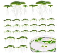 HoveeLuty 72Pcs Duckweed, Plastic Fake Pond Plants with Leaves & Roots, Floating Aquarium Plants for Indoor, Outdoor Floating Aquarium Fake Pond Weed