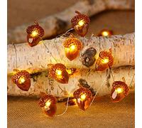 HoveeLuty Acorn String Lights Thanksgiving Fairy Lights Acorn Fairy Lamp Christmas String Lamp 20 Led 2m Remote Control 8 Modes for Fall Christmas Birthday Harvest Party