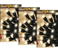 HOVUK 20x Super Bright LED Lights Warm White - 30cm Lead Wire Battery Powered Christmas Lights, String Lights for Bedroom, Indoor and Xmas Tree Party Welcome