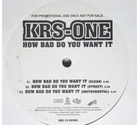 How Bad Do You Want... [12" VINYL]